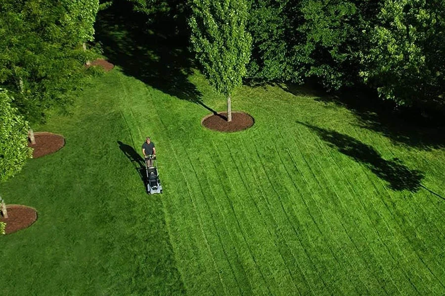 small battery operated lawn mowers