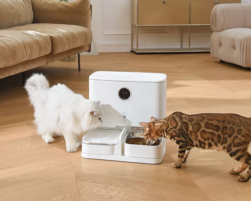 animal planet automatic pet feeder